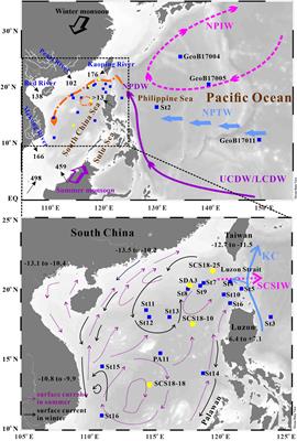 Dissolved rare earth element and neodymium isotope distributions in the South China Sea: Water mass source versus particle dissolution